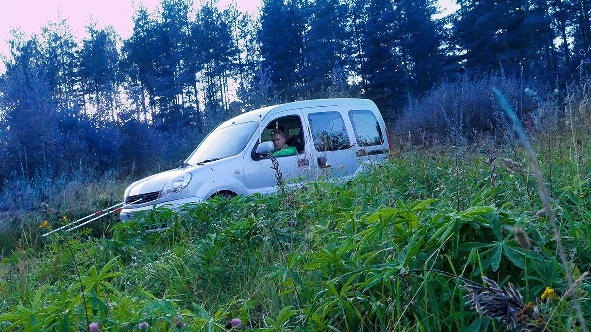 A grey Renault drives along a forest road, its driver observing the scenery through the open window. Two white canes extend from the front of the car.